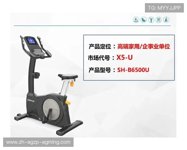 广州健身器材专卖店：广州健身器材专卖店选择指南