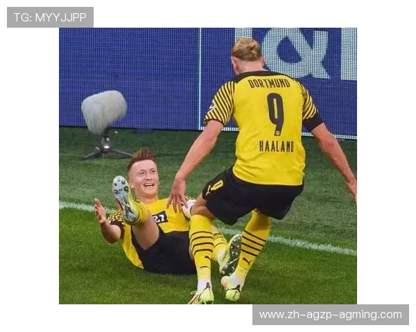 贝西克塔斯欧冠小组赛与淘汰赛历史表现汇总 贝西克塔斯欧冠小组赛与淘汰赛历史表现汇总