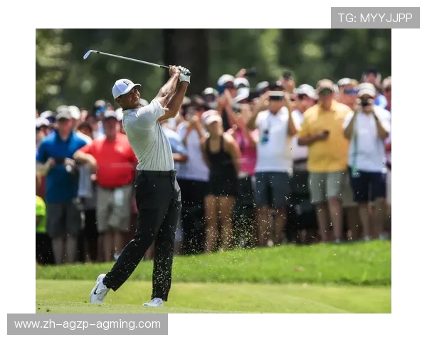 高尔夫锦标赛:晋级决赛 高尔夫锦标赛:晋级决赛